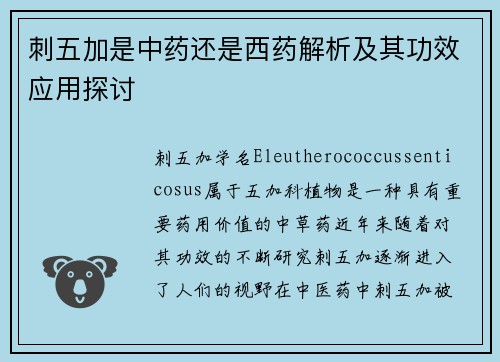刺五加是中药还是西药解析及其功效应用探讨