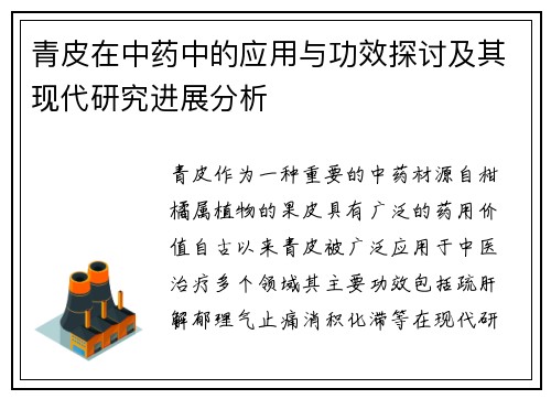 青皮在中药中的应用与功效探讨及其现代研究进展分析